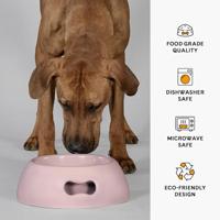 Voerbak voor honden United Pets Pappy 1,1 L Roze Polypropyleen 24.5 cm - thumbnail
