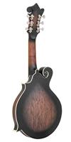 Gold Tone F-6 elektrische mando-guitar, met koffer - thumbnail