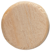 Bosch Accessoires Houten tappen 20X10 mm | 40 stuks - 2609255321 - thumbnail