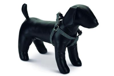 Beeztees - Hondentuig - Mac Leather - Grijs - 60-100 Cm Beeztees - Hondentuig - Mac Leather - Grijs - 60-100 Cm