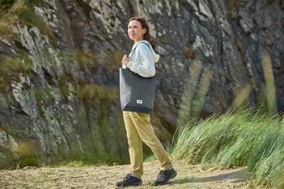 Zwarte+Blum Geïsoleerde Draagtas - Koeltas - 16Ltr - Grijs