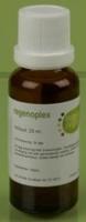 Balancepharma RGP007 Colon Regenoplex 30 Milliliter - thumbnail