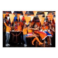 Boland Oranje vlaggenlijn, 10mtr. - thumbnail