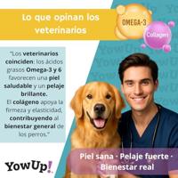 Natvoer YowUp Skin and Hair Zalm 10 Stuks 10 x 115 g - thumbnail