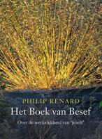 Het boek van besef (Paperback) - thumbnail
