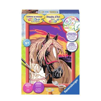 Ravensburger Schilderen Op Nummer Droompaard