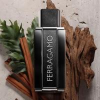 Herenparfum Salvatore Ferragamo FERRAGAMO SUBLIME LEATHER EDP 100 ml - thumbnail