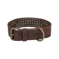 Trixie halsband hond rivet rustic vetleer donkerbruin - thumbnail