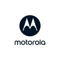 Motorola Lifestyle VerveBuds 300 - True Wireless oortjes - Zwart - thumbnail