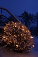 System-24 koppelbare verlichting 98 lamps warm wit, 10 meter - thumbnail