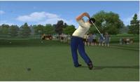 Tiger Woods PGA Tour 2010 - thumbnail
