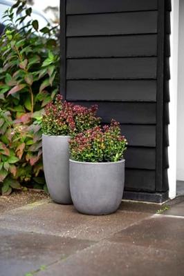Capi Pot Bol 54x52 cm - Zwart