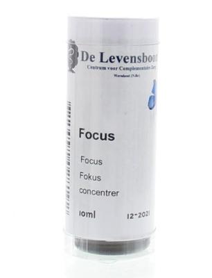 Volatile Focus 10 Milliliter