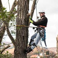 Takkenzaag-inklapbaar-snoeizaag-tuinzaag-tuinklapzaag-handzaag-staal - thumbnail