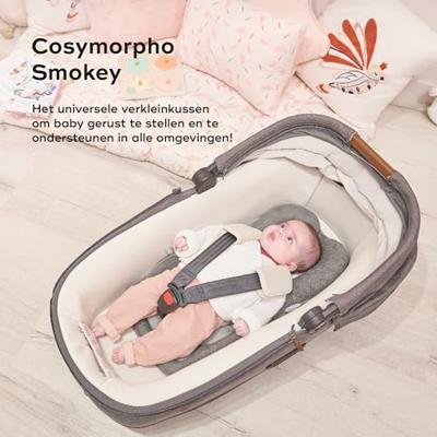 BABYMOOV Cosymorpho Smokey