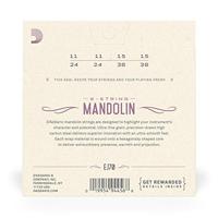 D&apos;Addario EJ70 snarenset voor mandoline - thumbnail