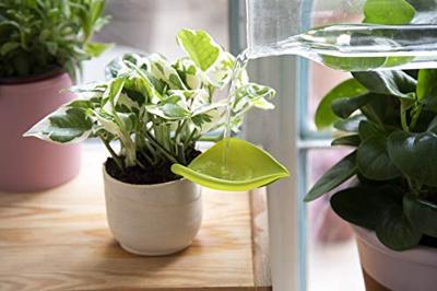 Peleg Design Leaflow wordt vertaald naar het Nederlands. Peleg Design Leaflow wordt vertaald naar het Nederlands.