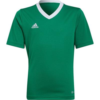 adidas Entrada 22 Voetbalshirt Kids Groen Wit adidas Entrada 22 Voetbalshirt Kids Groen Wit