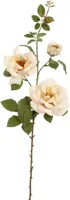 Pure Royal kunsttak roos 85cm vanille - thumbnail