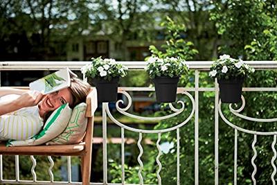 Elho green basics hangpot 18 cm zwart - thumbnail