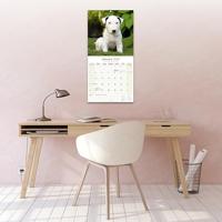 Bull Terrier Kalender 2026 - thumbnail