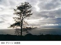 Cokin Filter Z004 Green - thumbnail