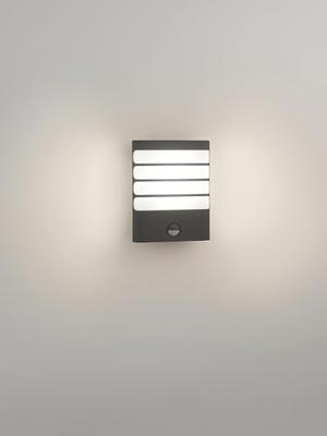 Philips Buitenlamp met sensorMy Garden Raccoon led antraciet - 172749316