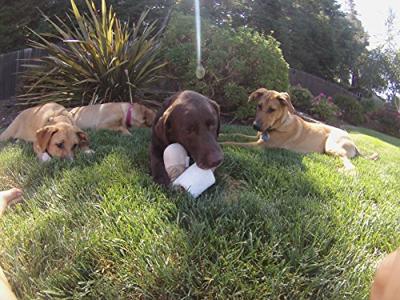 Petsport Loofah Buddy Assorti Petsport Loofah Buddy Assorti