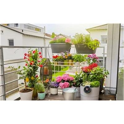 GARDENA AquaBloom automatische besproeiingsoplossing op zonne-energie - thumbnail