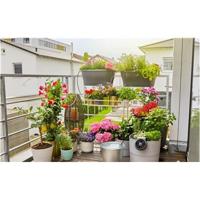 GARDENA Vakantiebewateringsset AquaBloom Set besproeiingscomputer - thumbnail