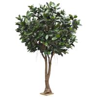 Ficus Elastica Robusta Kunstboom XXL Deluxe 350cm - thumbnail