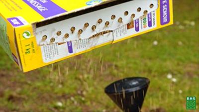 Gazon - BHS - Meadow Mix 1kg | 40m² | Voor grote oppervlakken en weilanden | Snel te installeren, duurzaam, onderhoudsvrij. - thumbnail