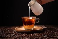 Café Royal - Nespresso PRO Compatible Pads - Lungo Forte - thumbnail