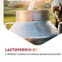Lactoferrine-BT - thumbnail