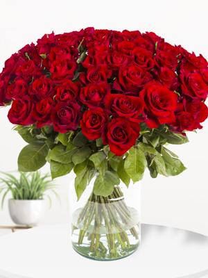 50 rode rozen - XL rozen - EverRed 50 rode rozen - XL rozen - EverRed