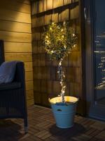 Konstsmide 3813-100 Micro-lichtketting Buiten Energielabel: E (A - G) werkt op het lichtnet Aantal lampen 200 LED Warmwit Verlichte lengte: 31.84 m - thumbnail