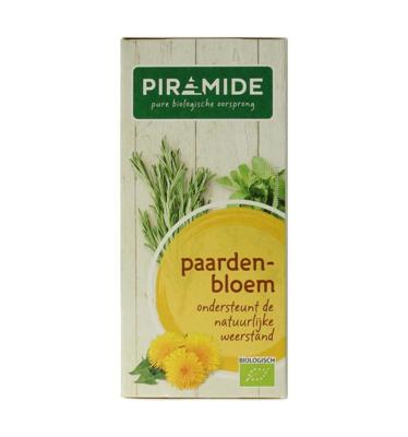 Piramide Paardenbloem Kruidenthee