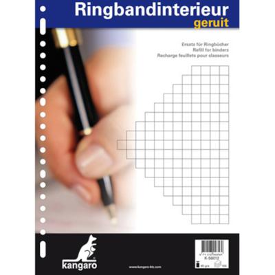 Ringbandinterieur 23r ruit 10mm 100 vel