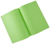 Exacompta Rock&apos;s 80 dossiermap, ft 22 x 31 cm, pak van 100, muntgroen - thumbnail