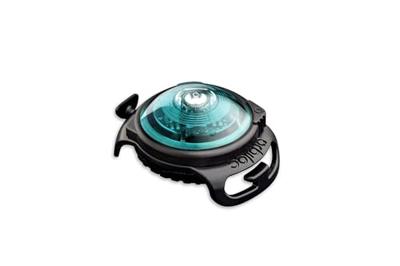 Orbiloc veiligheidslampje Dog Dual, turquoise - thumbnail