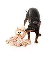 FUZZYARD OCTO-POSSE SIR DAVID OCTOBOROUGH PLUCHE - thumbnail