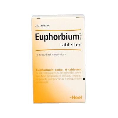 Heel Euphorbium compositum H 250 Tabletten Heel Euphorbium compositum H 250 Tabletten