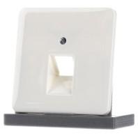 Jung 569-1UA Afdekking Afdekking 1-voudig Crème-wit 1 stuk(s) - thumbnail