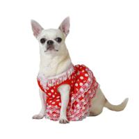 Kostuum voor honden Maat L Flamenco danser - thumbnail