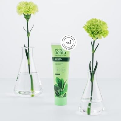 Ecodenta Tandpasta Brilliant Whitening - thumbnail