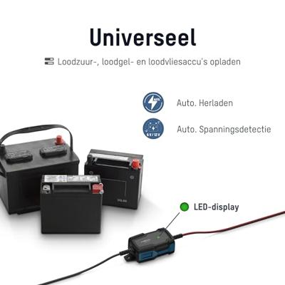 Ansmann Acculader BC 6-12V / 1A