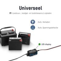 Ansmann BC 6-12V / 1 A 1001-0142 Oplader, Acculader , Druppellader, Accubewaker 6 V, 12 V 1 A 1 A - thumbnail