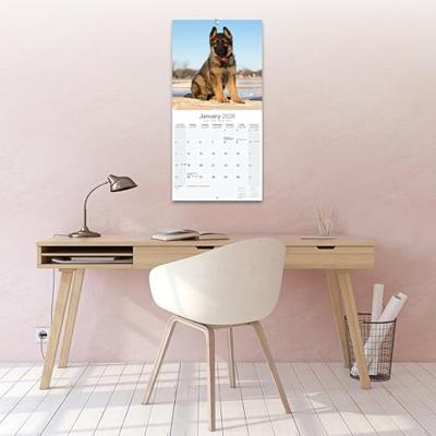 Duitse Herder Puppies Kalender 2026