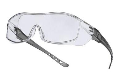 Delta Plus overzetbril Hekla Clear kleurloos polycarbonaat