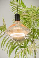 LED Lamp Diamant goud 8W 370 lumen 1900K E27 dimbaar 55010 zacht warm licht - thumbnail